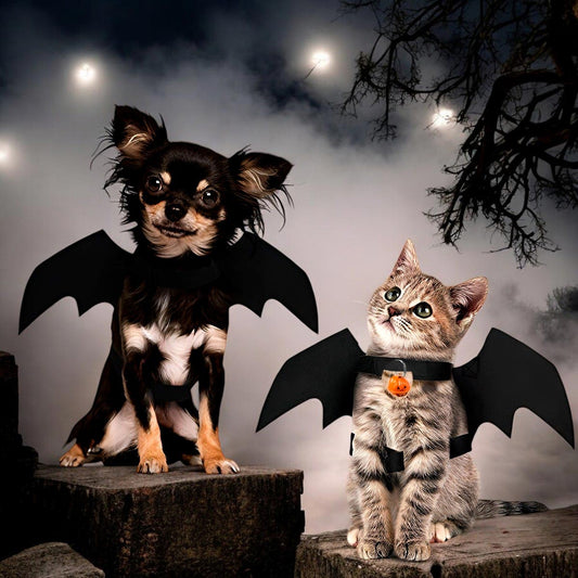 🐾 Súper Oferta Disfraz Para Mascotas - Alas De Murcielago🦇 | Envío Gratis