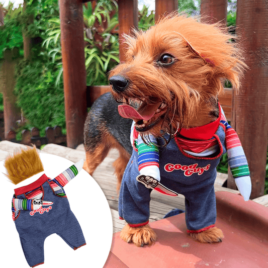 Oferta Halloween 🔪Disfraz Para Mascotas De Chucky | Envío Gratis